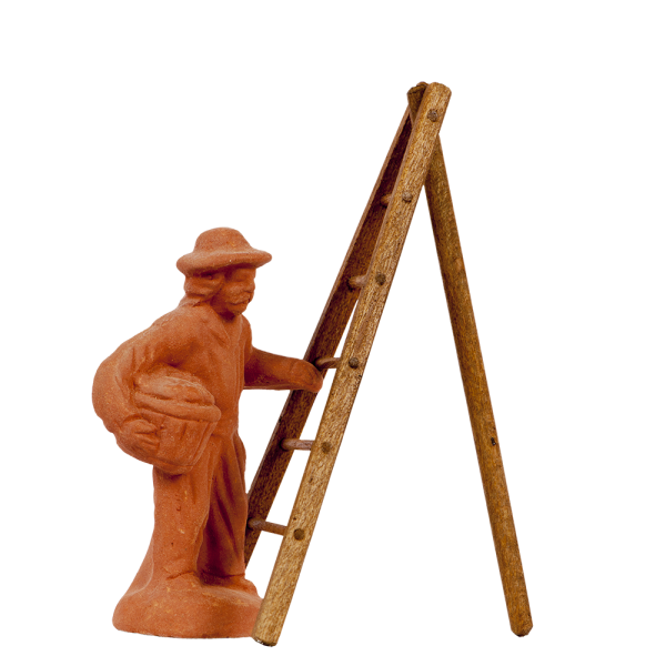 Picker of olives and his ladder (all)