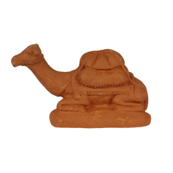 Camel lying