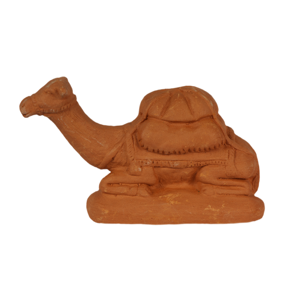 Camel lying