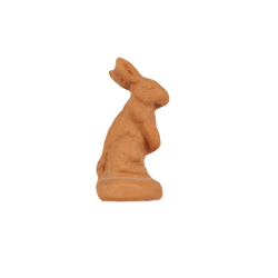 Rabbit standing