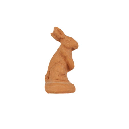 Rabbit standing