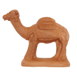 Camel standing